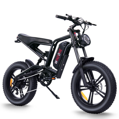 1000W Fat Tire Electric Bike, 48V 13Ah E-Bike, Removable Battery