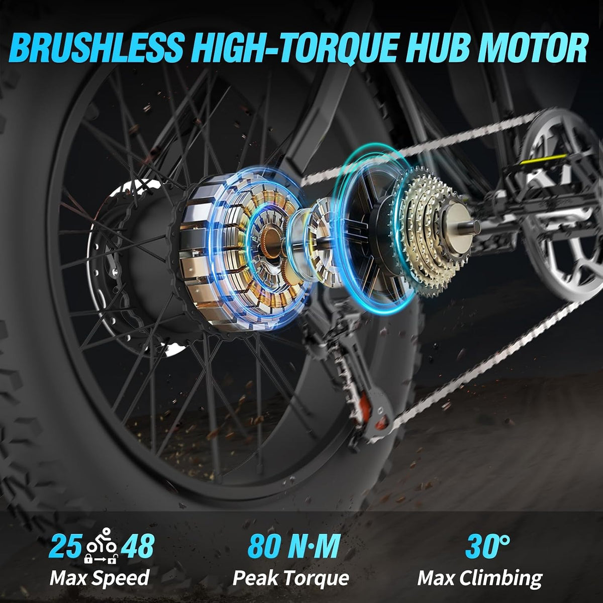 20" Fat Tire Electric Bike - 250W, 48V 15.6Ah, Dual Suspension