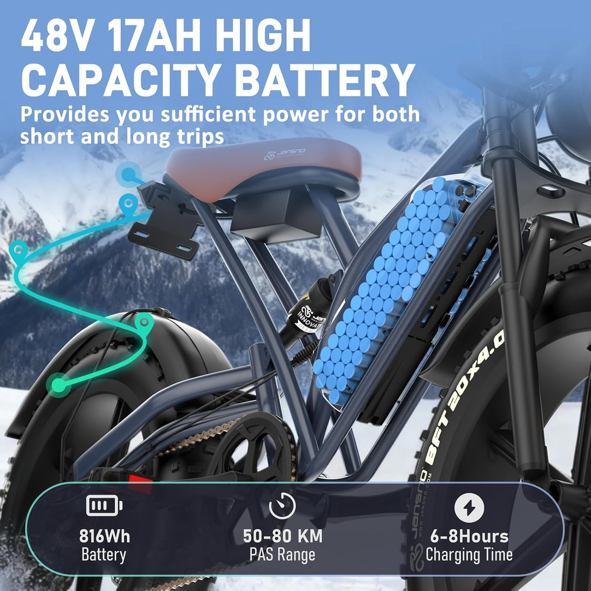 20" Fat Tire Electric Bike - 250W, 48V 17Ah, Full Suspension
