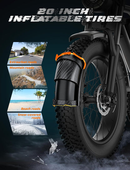 20" Fat Tire Electric Bike: 250W, 48V 20Ah, Dual Suspension