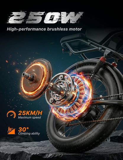 20" Fat Tire Electric Bike: 250W, 48V 20Ah, Dual Suspension