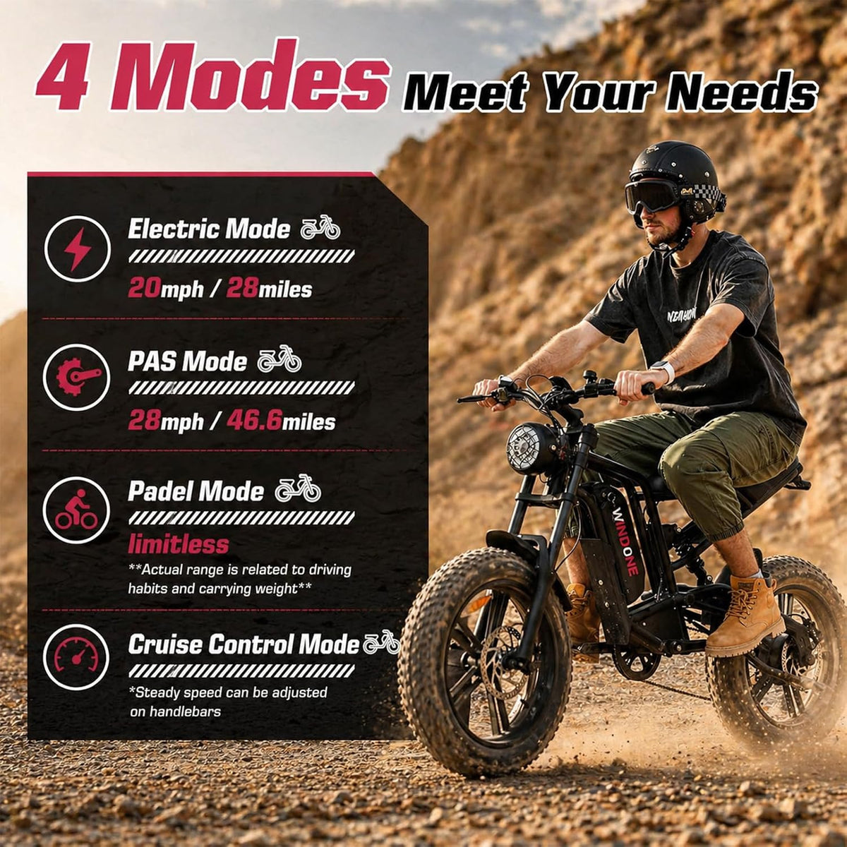 1000W Fat Tire Electric Bike, 48V 13Ah E-Bike, Removable Battery
