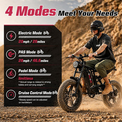 1000W Fat Tire Electric Bike, 48V 13Ah E-Bike, Removable Battery