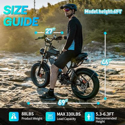 20" Fat Tire Electric Bike - 250W, 48V 15.6Ah, Dual Suspension