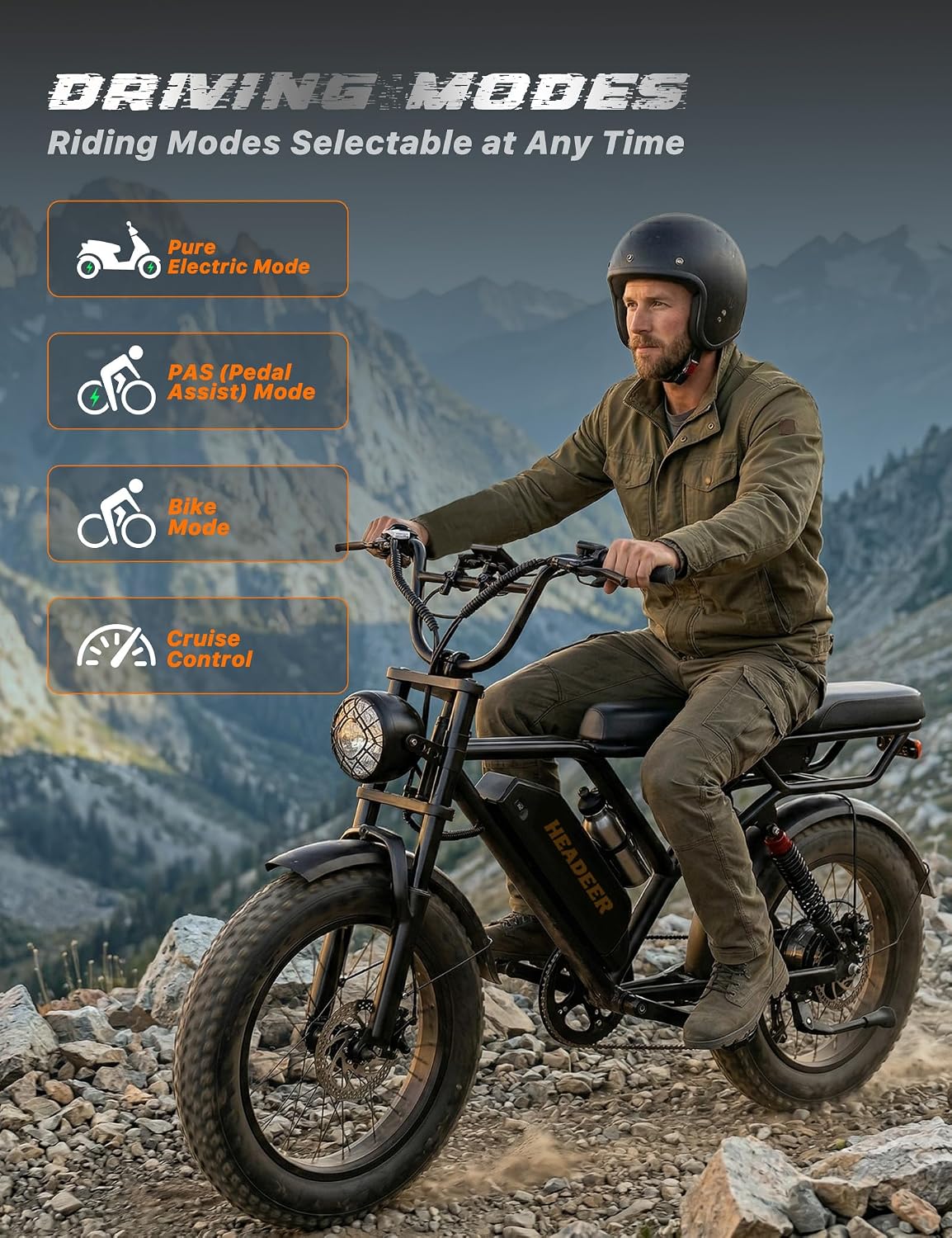 20" Fat Tire Electric Bike: 250W, 48V 20Ah, Dual Suspension