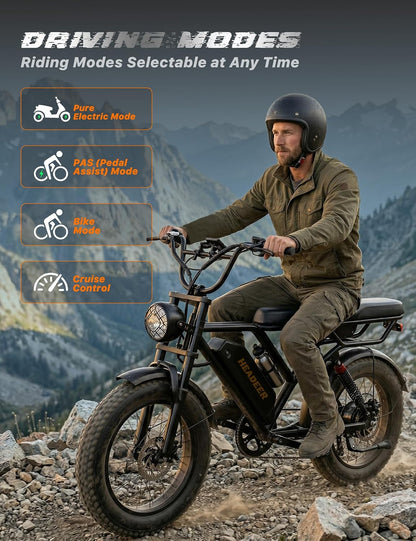 20" Fat Tire Electric Bike: 250W, 48V 20Ah, Dual Suspension