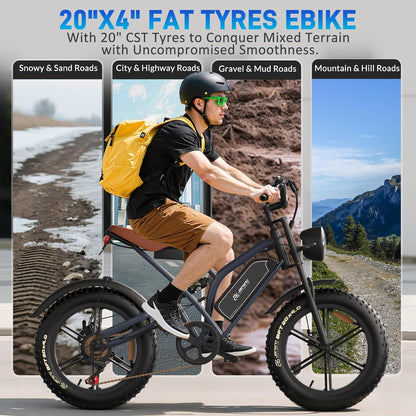 20" Fat Tire Electric Bike - 250W, 48V 17Ah, Full Suspension